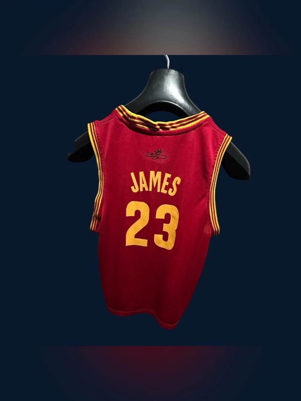 Youth Size LeBron James Cleveland Cavaliers Jersey No 23